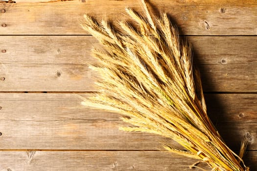 Rye spikelets on wooden background