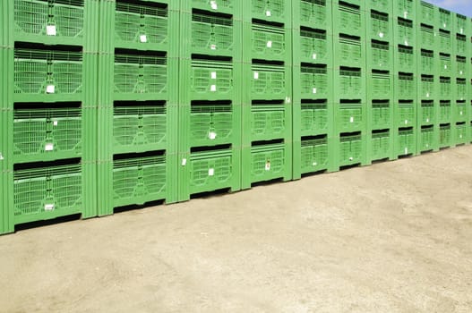 Green Fruit packing crates sitting on dock of packing house
