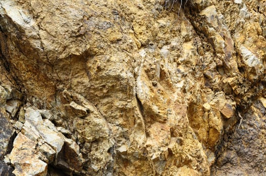 Close Up of a Volcanic Rock in Canary Islands Spain