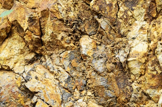 Close Up of a Volcanic Rock in Canary Islands Spain