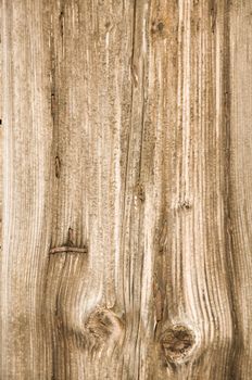 The brown wood texture with natural patterns 