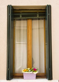 Old window in Venice with flower