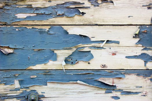 A Grunge Background with Old Wooden Boards and Peeling Paint