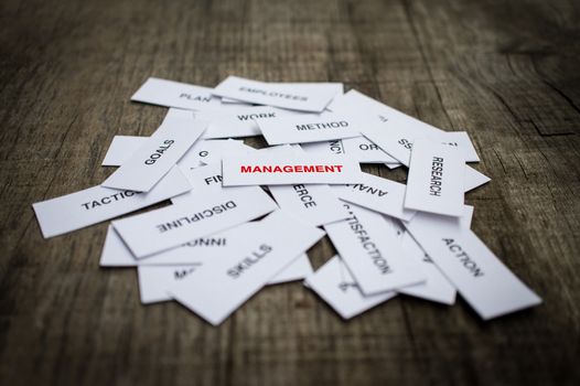 Paper strips with Management related words on wooden background