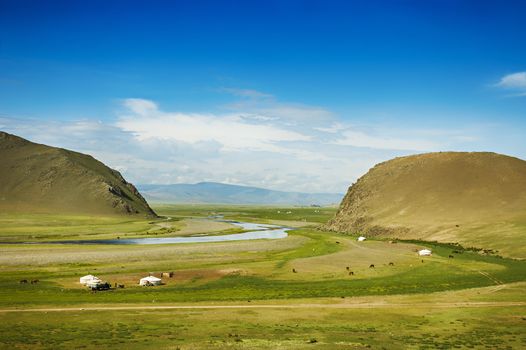 Mongolian steppe with grassland, yurts, horses and blue sky with white clouds