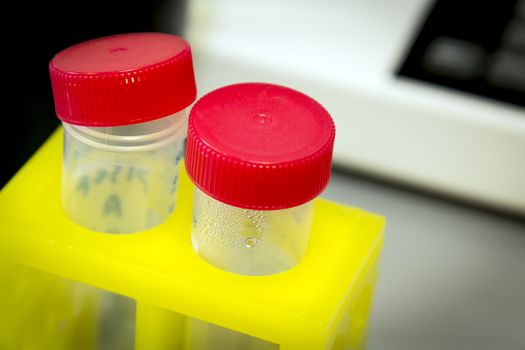 Tubes with red lids in a chemistry lab