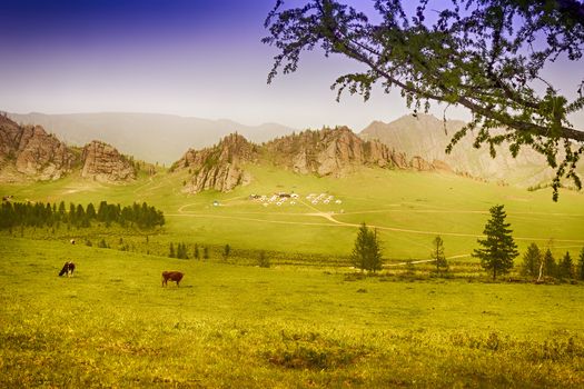 Yourt Camp in Terelj National Park Mongolia with green meadows and animals