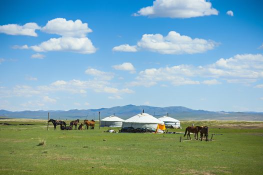 Yurts and horses in the steppe of Mongolia