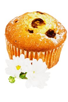 Arrangement of Delicious Homemade Raisins Muffin  and Chamomiles isolated on white background