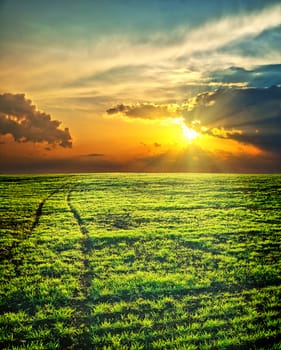 last sunrays over green field with path