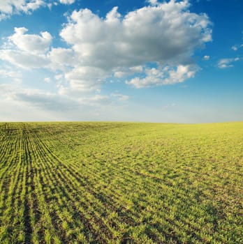 green field under cloudy sky