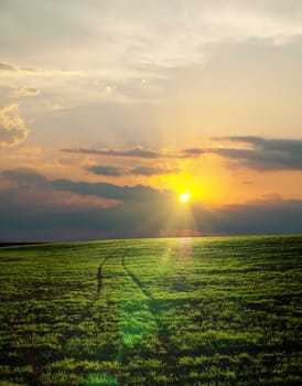 road in green field on sunset