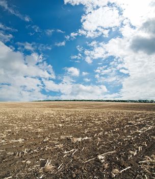 black ploughed field under blue cloudy sky after harvesting