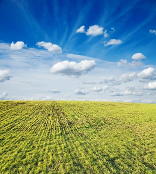 green field under cloudy sky