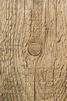 wooden texture