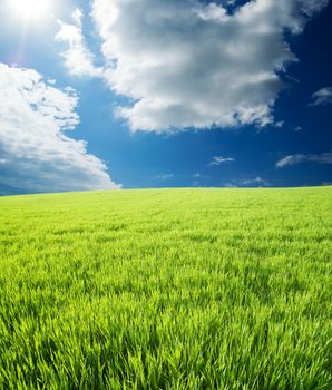 green grass under cloudy sky