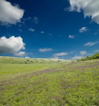 green meadow under cloudy sky