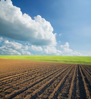 ploughed field under cloudy sky