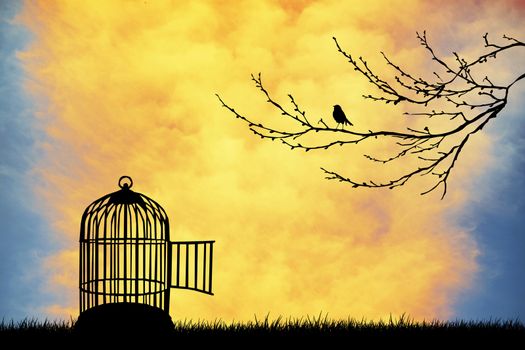 Bird cage silhouette at sunset