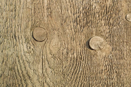 wooden texture background with twigs