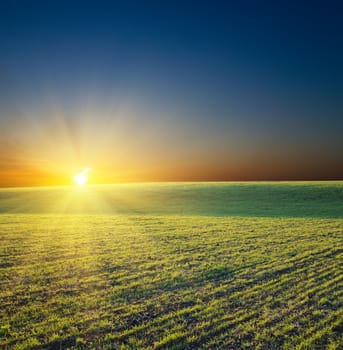 sunset over green field