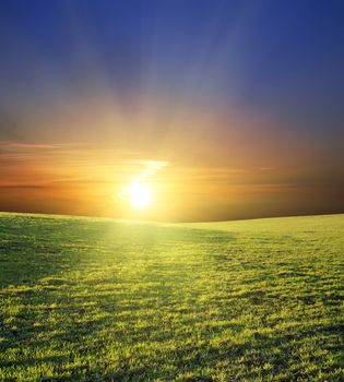 sunset over green field