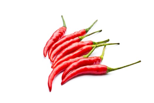 Red peppers on a white background