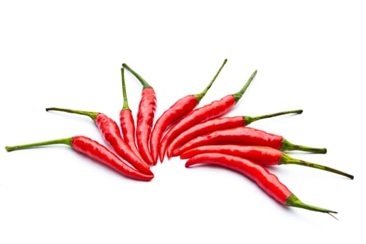 Red peppers on a white background