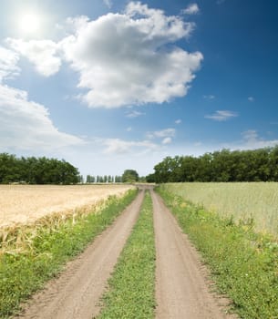 dirty road between green and gold fields