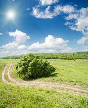 winding road to horizon