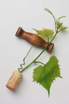 corkscrew and cork from a bottle of wine