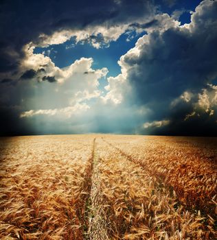 road in field with gold ears of wheat under hole in dramatic sky