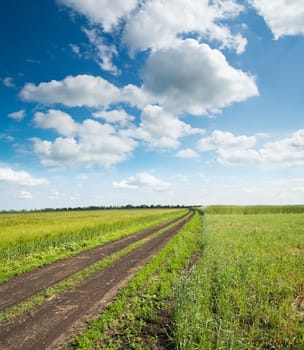 rural road in green field under cloudy sky