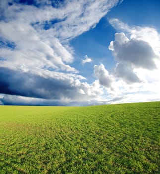 field with green grass under deep blue sky with clouds