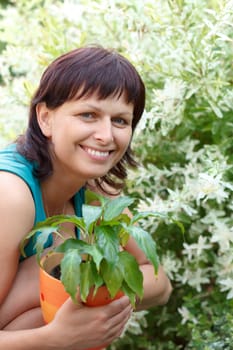 happy smiling middle age woman gardening, offsets the flowers in a pot