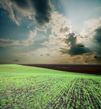 green field under dramatic cloudy sky