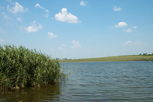 cane and water