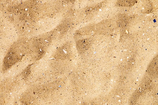 sand closeup as texture