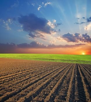 black agricultural field and sunset