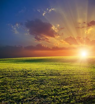 agricultural green field and red sunset