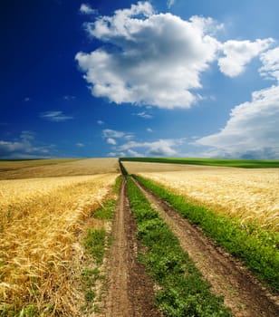 road in golden agricultural field under clouds