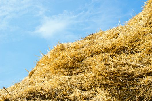 stack of straw on a background blue sky with clouds