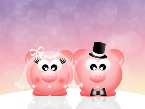 Wedding of pig