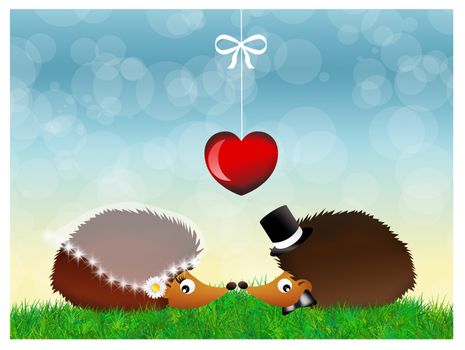 hedgehogs in love