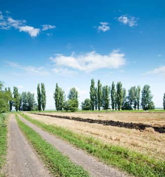 rural road near field and wood