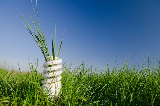 energy saving lamp in green field