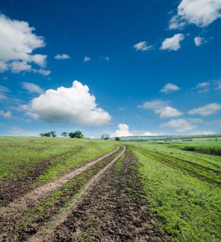 rural road in green grass under cloudy sky