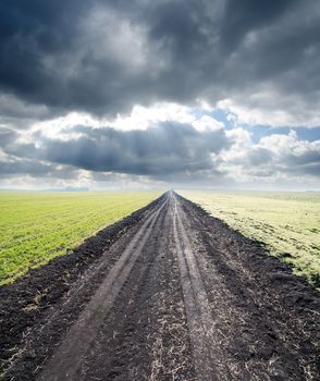 rural road goes to horizon in fog