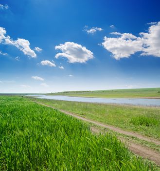 rural road in green grass and cloudy sky