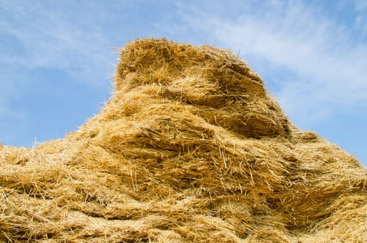 stack of straw on a background blue sky with clouds